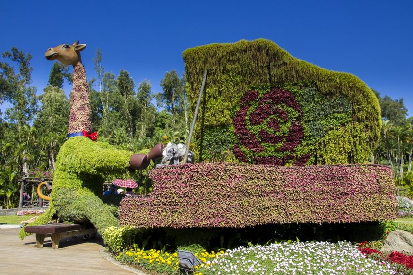 【台北展覽】菊世遨遊／2018士林官邸菊展～跟著變化萬千的菊花一日遊世界