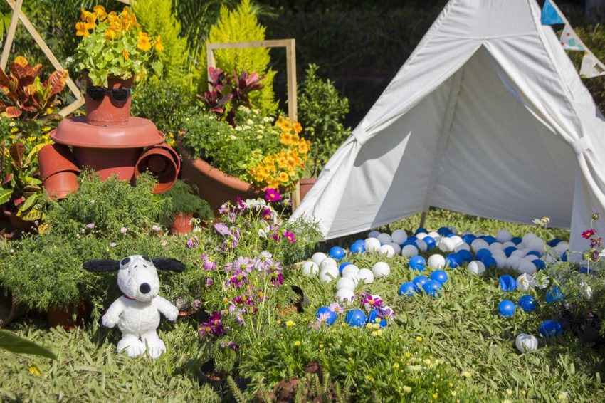 【台北展覽】菊世遨遊／2018士林官邸菊展～跟著變化萬千的菊花一日遊世界