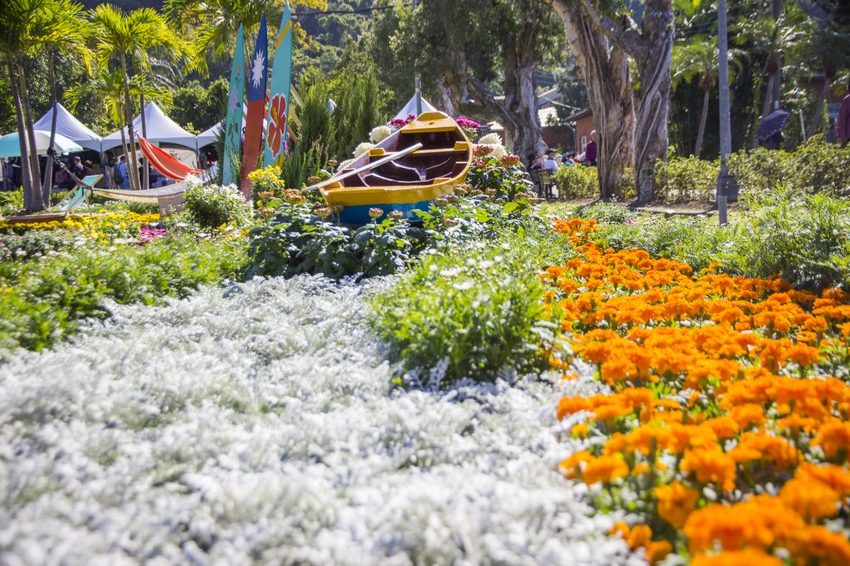 【台北展覽】菊世遨遊／2018士林官邸菊展～跟著變化萬千的菊花一日遊世界