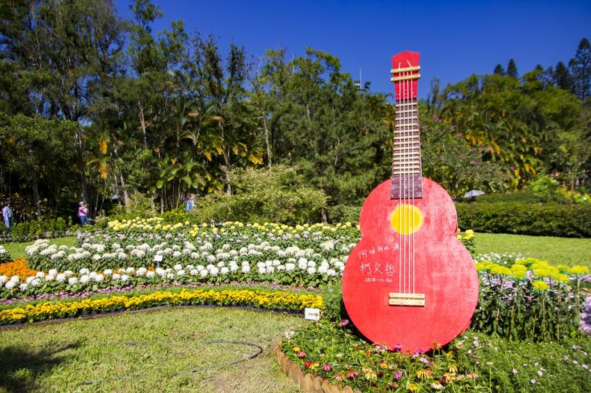 【台北展覽】菊世遨遊／2018士林官邸菊展～跟著變化萬千的菊花一日遊世界