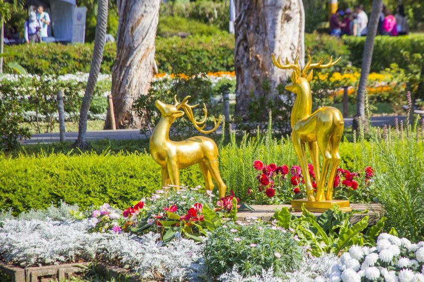 【台北展覽】菊世遨遊／2018士林官邸菊展～跟著變化萬千的菊花一日遊世界