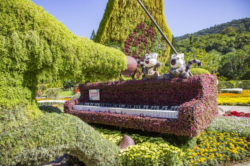 【台北展覽】菊世遨遊／2018士林官邸菊展～跟著變化萬千的菊花一日遊世界