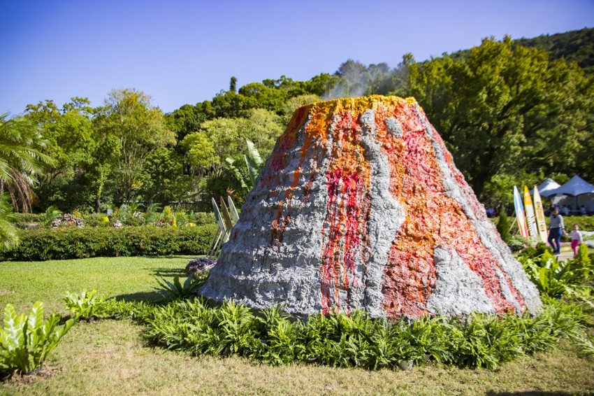 【台北展覽】菊世遨遊／2018士林官邸菊展～跟著變化萬千的菊花一日遊世界