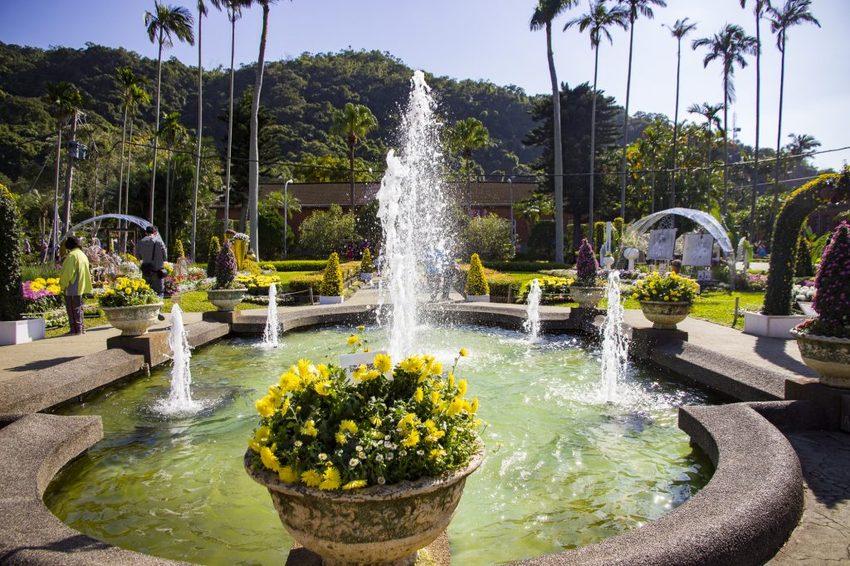 【台北展覽】菊世遨遊／2018士林官邸菊展～跟著變化萬千的菊花一日遊世界