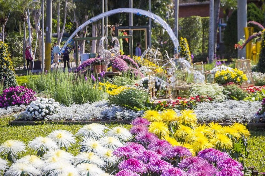 【台北展覽】菊世遨遊／2018士林官邸菊展～跟著變化萬千的菊花一日遊世界