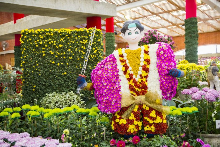 【台北展覽】菊世遨遊／2018士林官邸菊展～跟著變化萬千的菊花一日遊世界