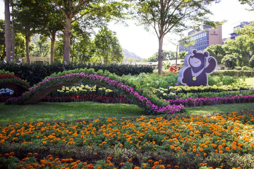 【台北展覽】菊世遨遊／2018士林官邸菊展～跟著變化萬千的菊花一日遊世界