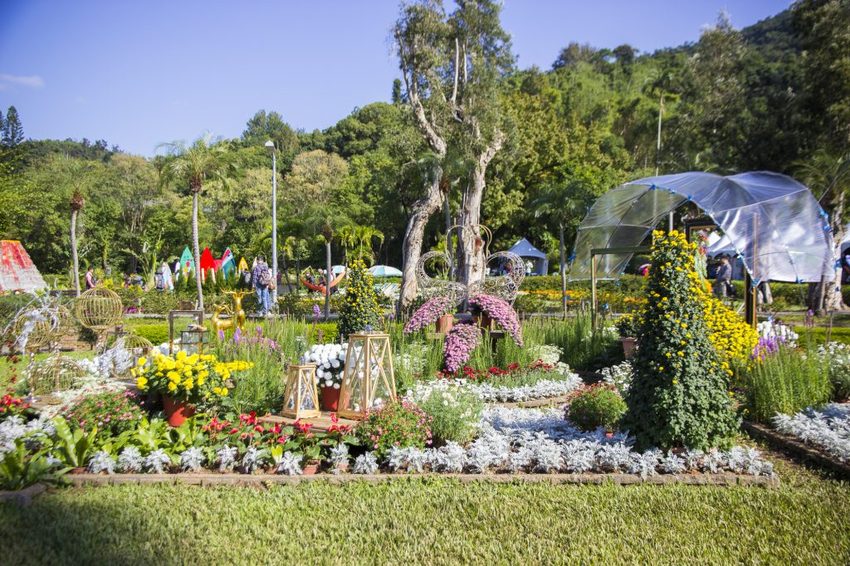 【台北展覽】菊世遨遊／2018士林官邸菊展～跟著變化萬千的菊花一日遊世界