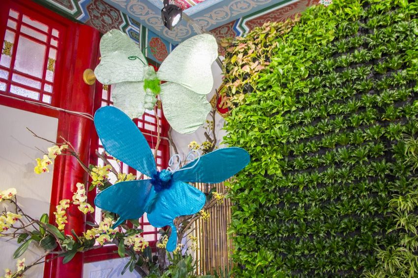 【台北展覽】菊世遨遊／2018士林官邸菊展～跟著變化萬千的菊花一日遊世界