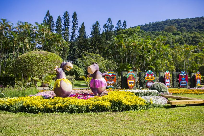 【台北展覽】菊世遨遊／2018士林官邸菊展～跟著變化萬千的菊花一日遊世界