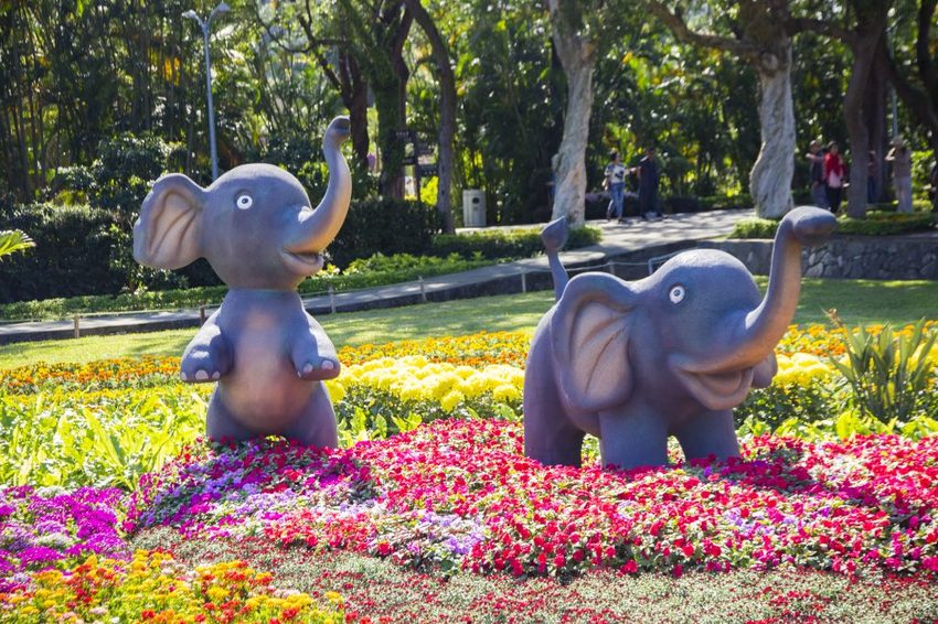 【台北展覽】菊世遨遊／2018士林官邸菊展～跟著變化萬千的菊花一日遊世界