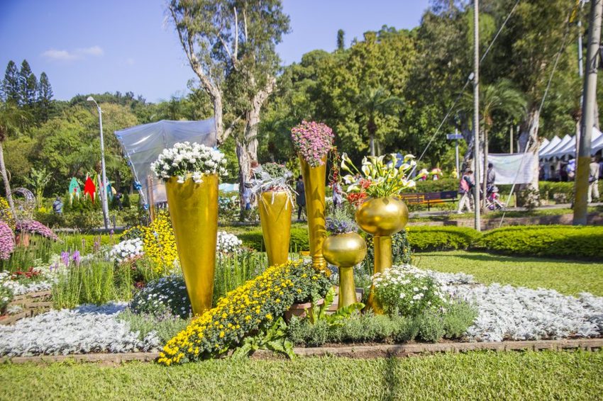 【台北展覽】菊世遨遊／2018士林官邸菊展～跟著變化萬千的菊花一日遊世界