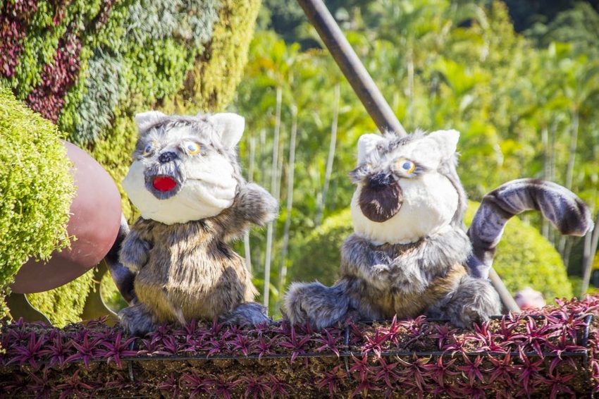 【台北展覽】菊世遨遊／2018士林官邸菊展～跟著變化萬千的菊花一日遊世界