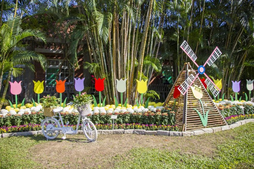 【台北展覽】菊世遨遊／2018士林官邸菊展～跟著變化萬千的菊花一日遊世界