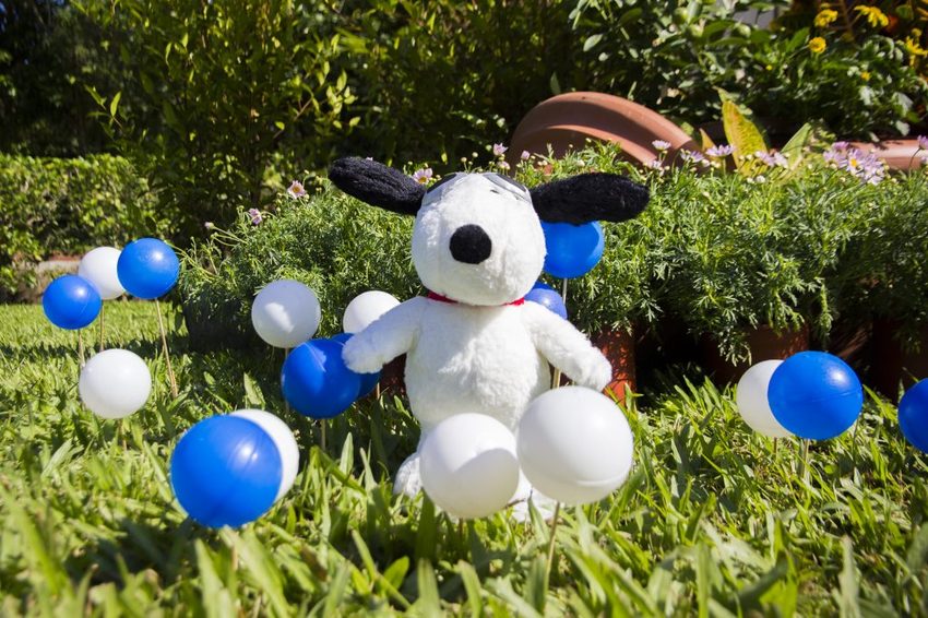 【台北展覽】菊世遨遊／2018士林官邸菊展～跟著變化萬千的菊花一日遊世界