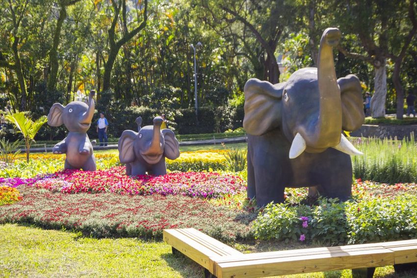 【台北展覽】菊世遨遊／2018士林官邸菊展～跟著變化萬千的菊花一日遊世界