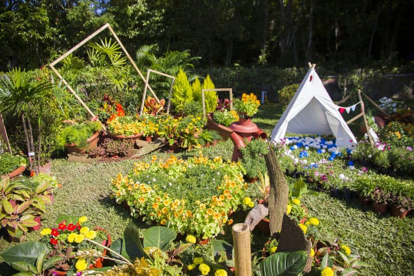 【台北展覽】菊世遨遊／2018士林官邸菊展～跟著變化萬千的菊花一日遊世界