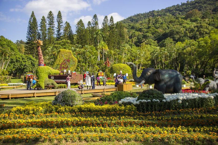 【台北展覽】菊世遨遊／2018士林官邸菊展～跟著變化萬千的菊花一日遊世界