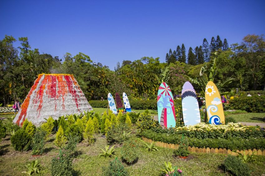 【台北展覽】菊世遨遊／2018士林官邸菊展～跟著變化萬千的菊花一日遊世界