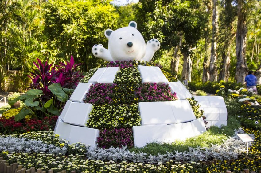 【台北展覽】菊世遨遊／2018士林官邸菊展～跟著變化萬千的菊花一日遊世界