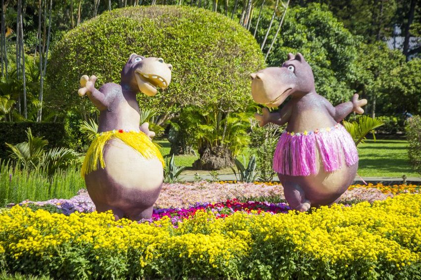 【台北展覽】菊世遨遊／2018士林官邸菊展～跟著變化萬千的菊花一日遊世界