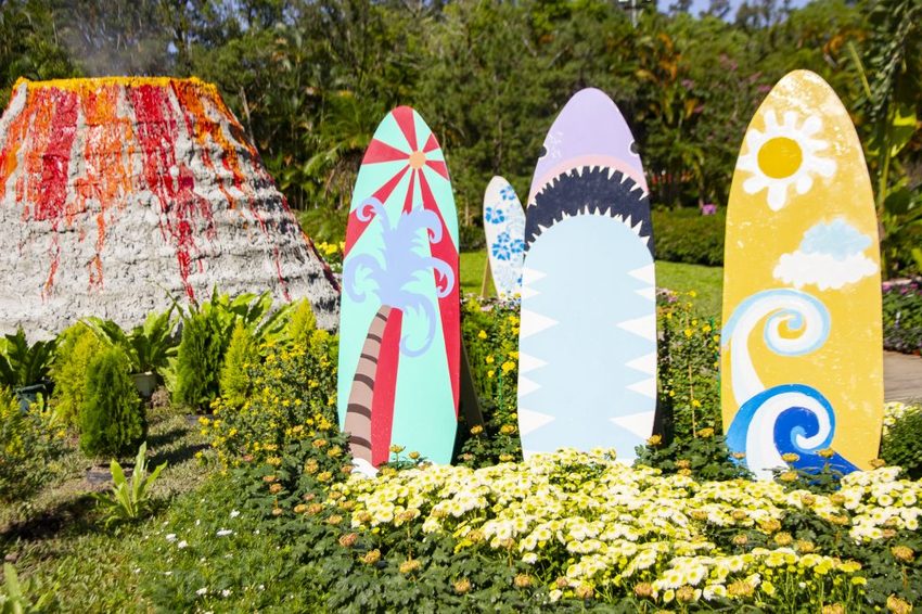 【台北展覽】菊世遨遊／2018士林官邸菊展～跟著變化萬千的菊花一日遊世界