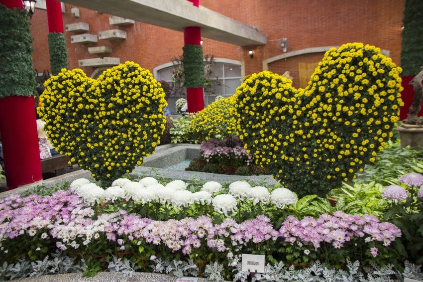 【台北展覽】菊世遨遊／2018士林官邸菊展～跟著變化萬千的菊花一日遊世界