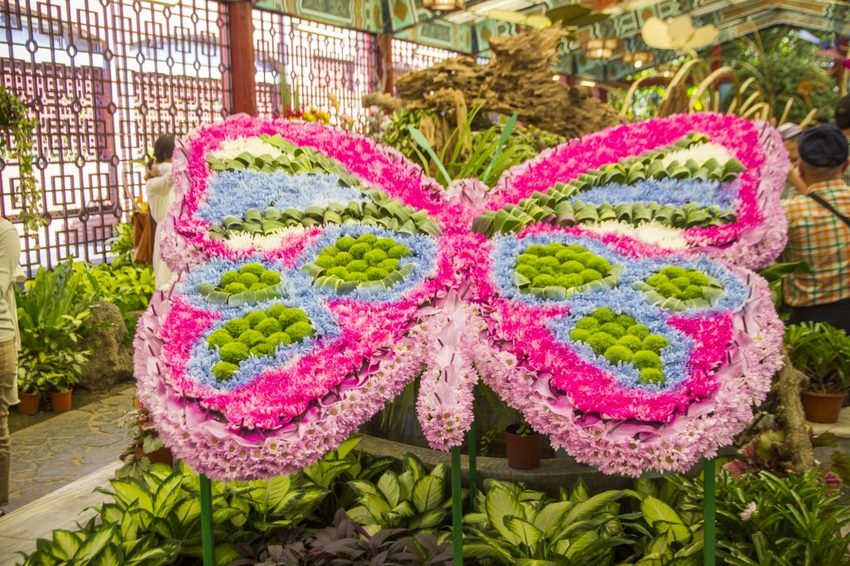 【台北展覽】菊世遨遊／2018士林官邸菊展～跟著變化萬千的菊花一日遊世界