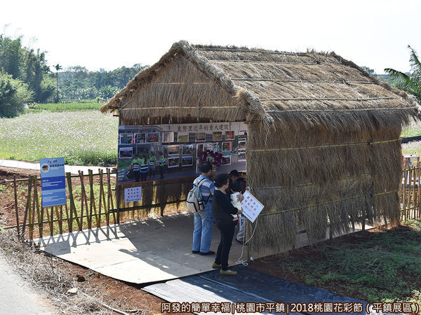 桃園花彩節(平鎮展區)21-曾家菜園田寮.JPG