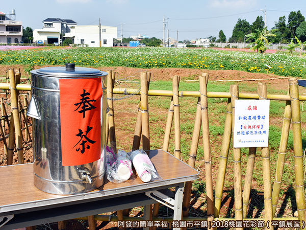 桃園花彩節(平鎮展區)22-曾家菜園田寮II.JPG
