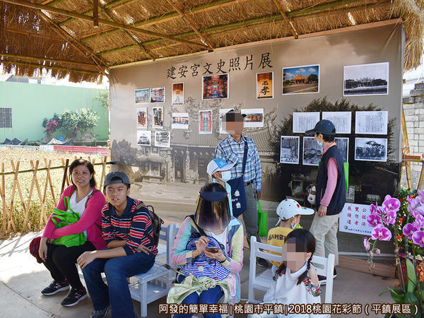 桃園花彩節(平鎮展區)18-楊家田寮II.JPG