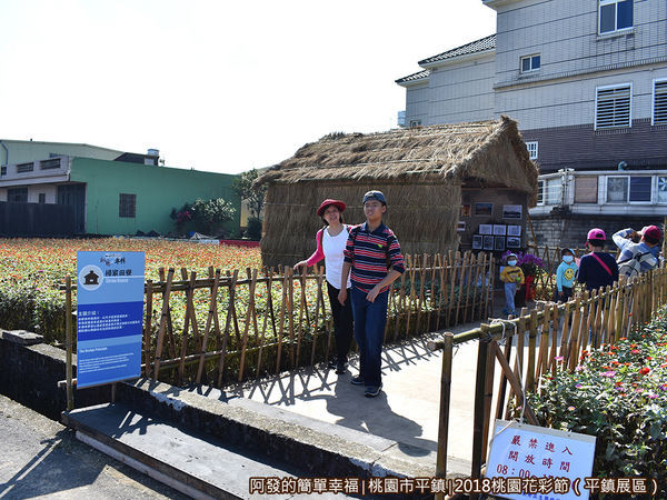 桃園花彩節(平鎮展區)17-楊家田寮.JPG