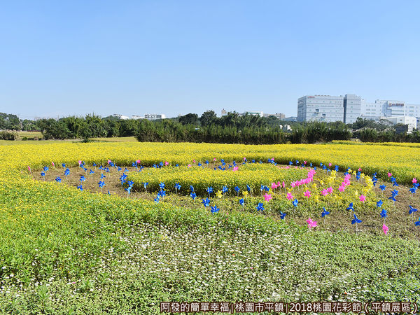 桃園花彩節(平鎮展區)15-風車海區.JPG