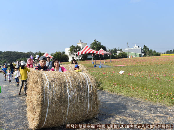 桃園花彩節(平鎮展區)35-滾草活動區.JPG