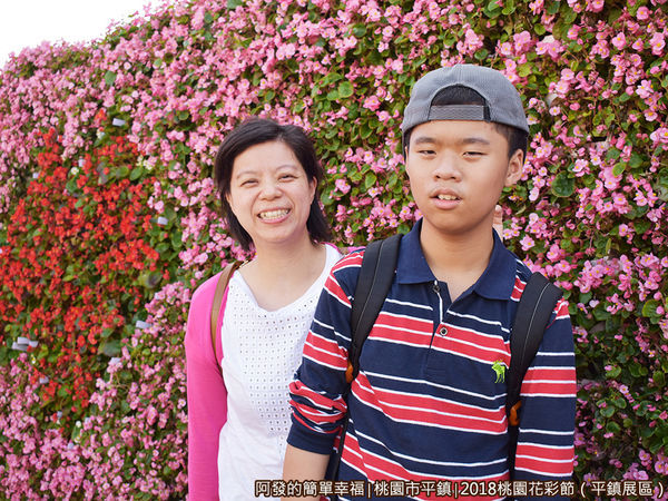 桃園花彩節(平鎮展區)13-花牆前留影.JPG