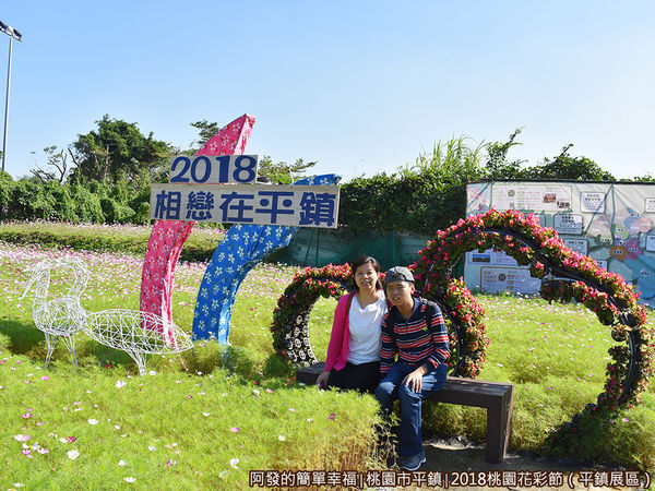 桃園花彩節(平鎮展區)08-我的絲心.JPG