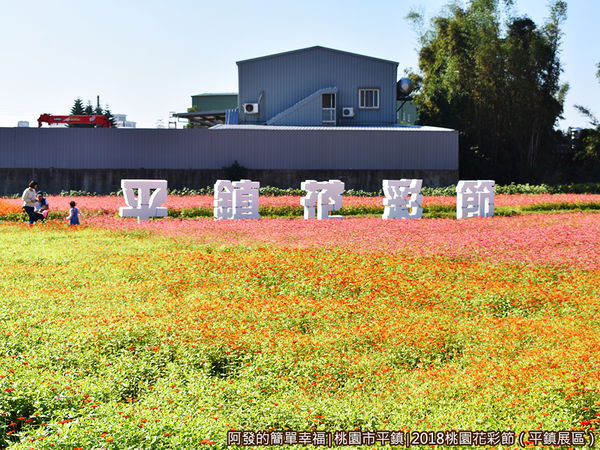 桃園花彩節(平鎮展區)07-活動主題文字百日草花海.JPG