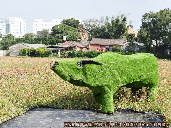 桃園花彩節(平鎮展區)32-動物裝置藝術II.JPG