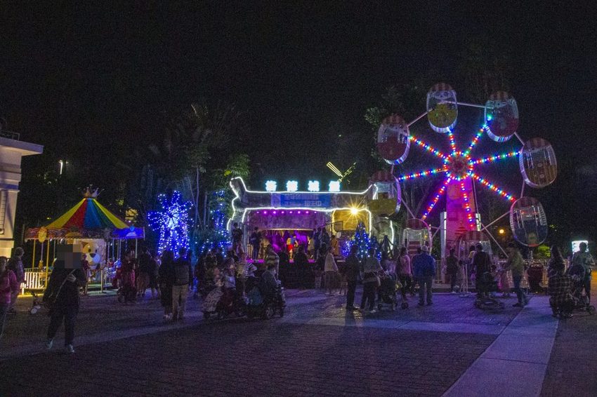 【台北活動】2018臺北親水節暨公館聖誕季~玫瑰花海、閃亮燈樹、巴洛克建築,夢幻浪漫打卡景點