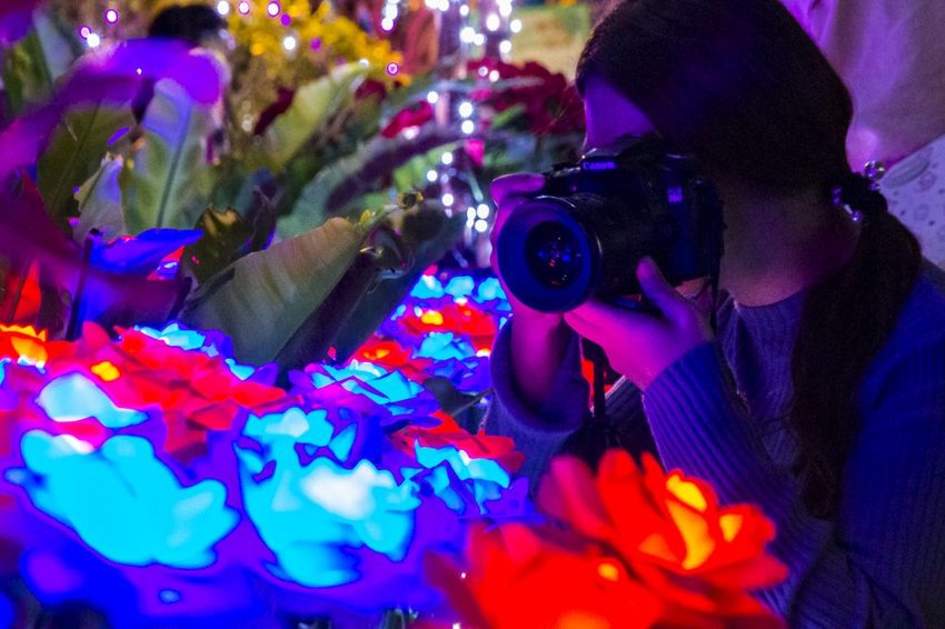 【台北活動】2018臺北親水節暨公館聖誕季~玫瑰花海、閃亮燈樹、巴洛克建築,夢幻浪漫打卡景點