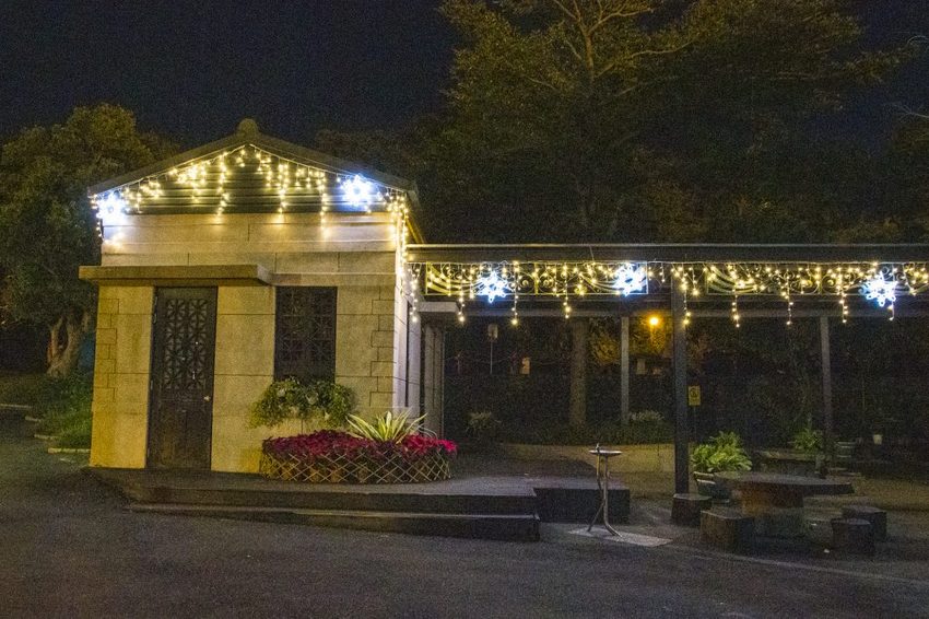 【台北活動】2018臺北親水節暨公館聖誕季~玫瑰花海、閃亮燈樹、巴洛克建築,夢幻浪漫打卡景點