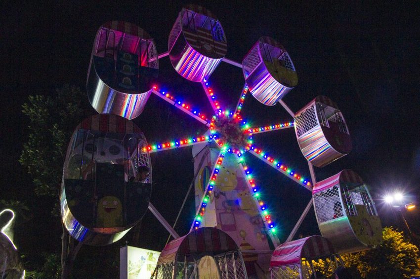 【台北活動】2018臺北親水節暨公館聖誕季~玫瑰花海、閃亮燈樹、巴洛克建築,夢幻浪漫打卡景點