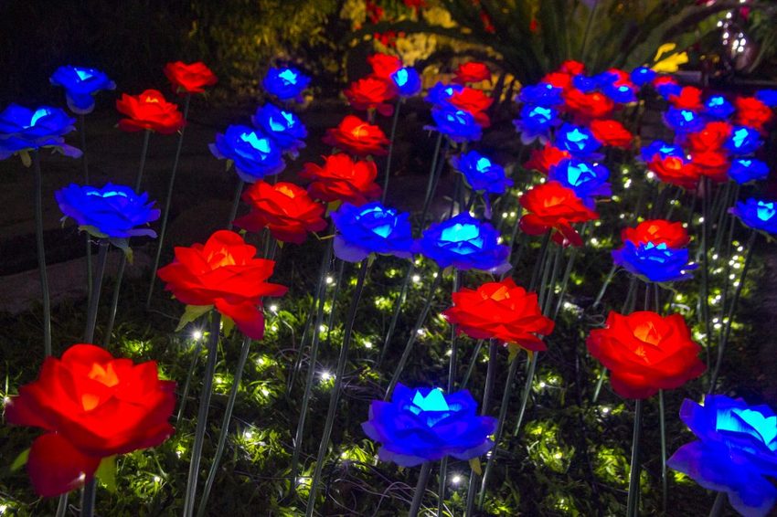 【台北活動】2018臺北親水節暨公館聖誕季~玫瑰花海、閃亮燈樹、巴洛克建築,夢幻浪漫打卡景點