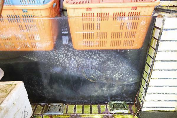 海園活海鮮餐廳 - 25