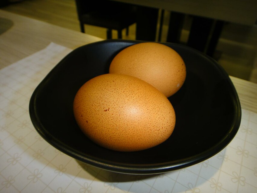 【美食】「Da Ma hot pot-解惑火鍋店 藝文店」桃