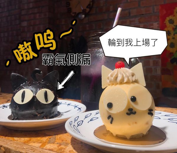 貓言貓語雪花冰下午茶：[食記]►台南北區◄貓言貓語雪花冰下午茶/點草莓雙人套餐還送草莓泡芙/本月打卡就送貓咪蛋糕/超人氣店貓陪你玩