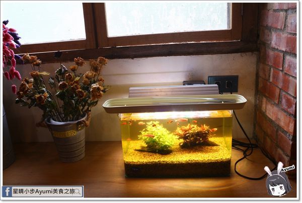 貓言貓語雪花冰下午茶：[食記]►台南北區◄貓言貓語雪花冰下午茶/點草莓雙人套餐還送草莓泡芙/本月打卡就送貓咪蛋糕/超人氣店貓陪你玩