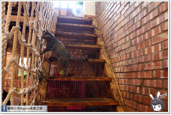 貓言貓語雪花冰下午茶：[食記]►台南北區◄貓言貓語雪花冰下午茶/點草莓雙人套餐還送草莓泡芙/本月打卡就送貓咪蛋糕/超人氣店貓陪你玩