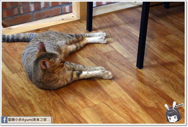 貓言貓語雪花冰下午茶：[食記]►台南北區◄貓言貓語雪花冰下午茶/點草莓雙人套餐還送草莓泡芙/本月打卡就送貓咪蛋糕/超人氣店貓陪你玩