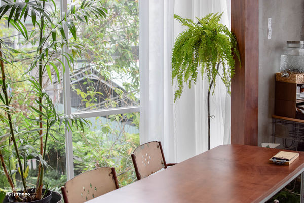 DSC_0006.jpg DSC_0006.jpg